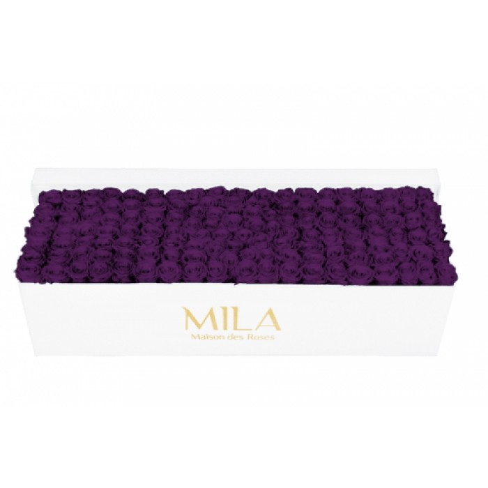 Mila Classique Royale Blanc Classique - Velvet purple