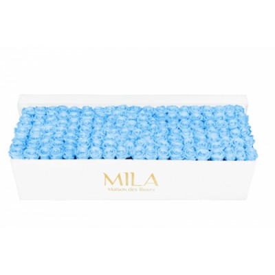 Produit Mila-Roses-01721 Mila Classique Royale Blanc Classique - Baby blue