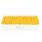  Mila-Roses-01722 Mila Classique Royale Blanc Classique - Yellow Sunshine