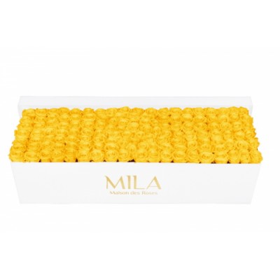Produit Mila-Roses-01722 Mila Classique Royale Blanc Classique - Yellow Sunshine