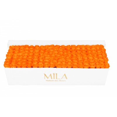 Produit Mila-Roses-01727 Mila Classique Royale Blanc Classique - Orange Bloom