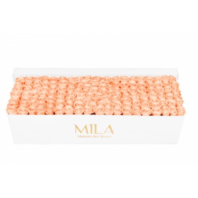 Produit Mila-Roses-01730 Mila Classique Royale Blanc Classique - Pure Peach