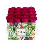  Mila-Roses-01795 Mila Limited Edition Jungle Medium Medium Jungle - Fuchsia