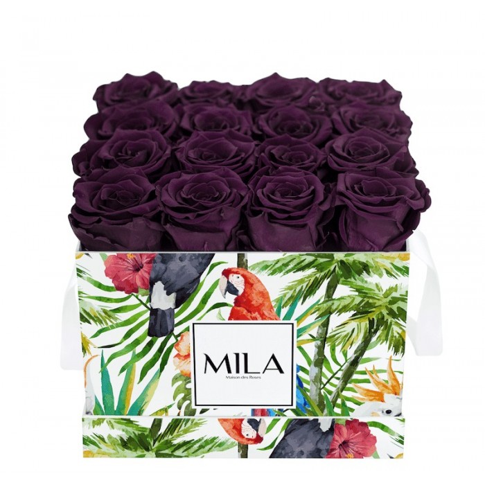 Mila Limited Edition Jungle Medium Medium Jungle - Velvet purple