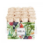  Mila-Roses-01807 Mila Limited Edition Jungle Medium Medium Jungle - Champagne
