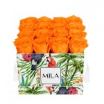  Mila-Roses-01808 Mila Limited Edition Jungle Medium Medium Jungle - Orange Bloom