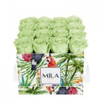  Mila-Roses-01817 Mila Limited Edition Jungle Medium Medium Jungle - Mint