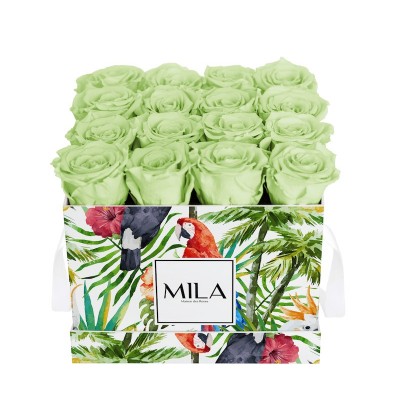 Produit Mila-Roses-01817 Mila Limited Edition Jungle Medium Medium Jungle - Mint
