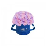  Mila-Roses-01819 Mila Classique Small Dome Royal Blue Velvet Small - Vintage rose