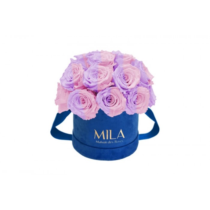 Mila Classique Small Dome Royal Blue Velvet Small - Vintage rose