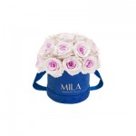  Mila-Roses-01820 Mila Classique Small Dome Royal Blue Velvet Small - Pink bottom