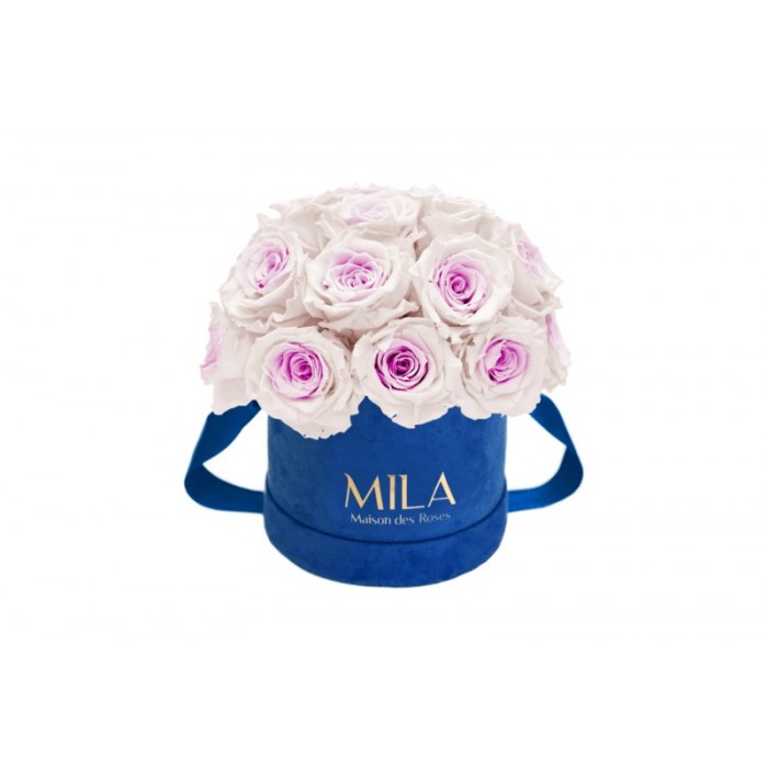 Mila Classique Small Dome Royal Blue Velvet Small - Pink bottom
