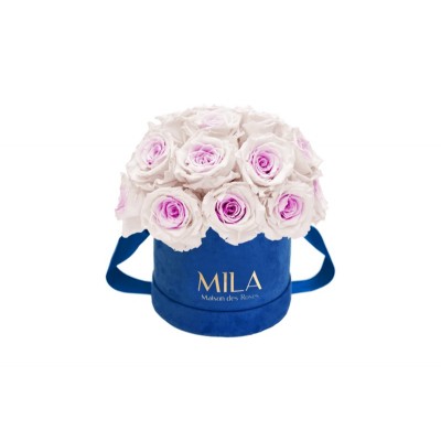 Produit Mila-Roses-01820 Mila Classique Small Dome Royal Blue Velvet Small - Pink bottom