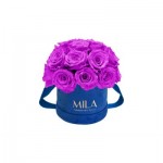  Mila-Roses-01824 Mila Classique Small Dome Royal Blue Velvet Small - Violin