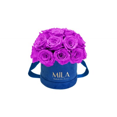 Produit Mila-Roses-01824 Mila Classique Small Dome Royal Blue Velvet Small - Violin