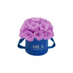  Mila-Roses-01825 Mila Classique Small Dome Royal Blue Velvet Small - Mauve
