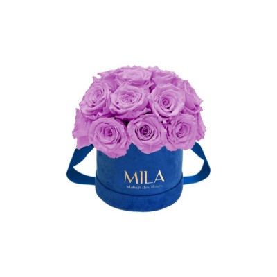 Produit Mila-Roses-01825 Mila Classique Small Dome Royal Blue Velvet Small - Mauve