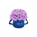  Mila-Roses-01826 Mila Classique Small Dome Royal Blue Velvet Small - Lavender