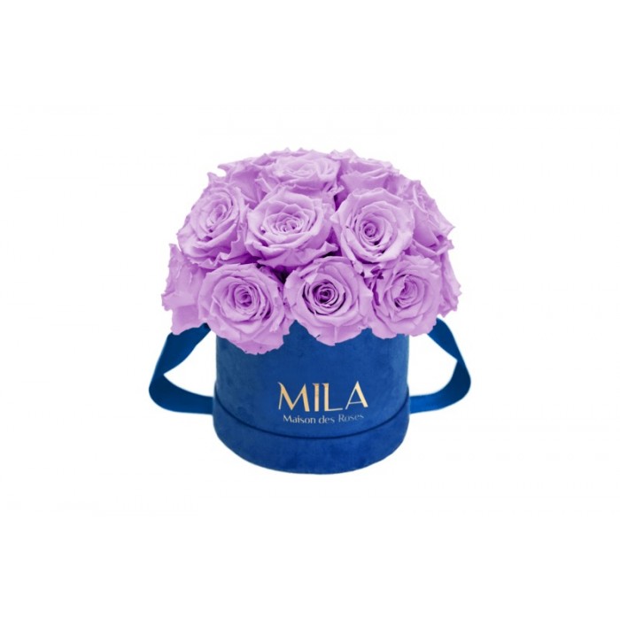 Mila Classique Small Dome Royal Blue Velvet Small - Lavender