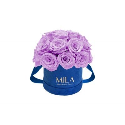 Produit Mila-Roses-01826 Mila Classique Small Dome Royal Blue Velvet Small - Lavender