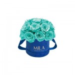  Mila-Roses-01828 Mila Classique Small Dome Royal Blue Velvet Small - Aquamarine