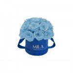  Mila-Roses-01829 Mila Classique Small Dome Royal Blue Velvet Small - Baby blue