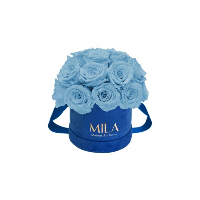 Mila Classique Small Dome Royal Blue Velvet Small - Baby blue