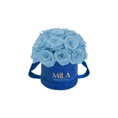 Produit Mila-Roses-01829 Mila Classique Small Dome Royal Blue Velvet Small - Baby blue