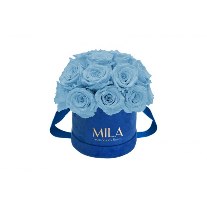 Mila Classique Small Dome Royal Blue Velvet Small - Baby blue