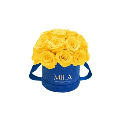Produit Mila-Roses-01830 Mila Classique Small Dome Royal Blue Velvet Small - Yellow Sunshine