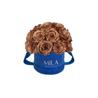 Produit Mila-Roses-01831 Mila Classique Small Dome Royal Blue Velvet Small - Metallic Copper