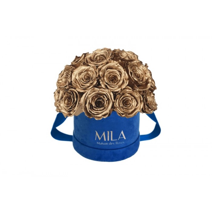 Mila Classique Small Dome Royal Blue Velvet Small - Metallic Gold