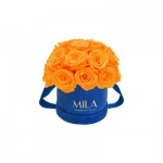  Mila-Roses-01835 Mila Classique Small Dome Royal Blue Velvet Small - Orange Bloom