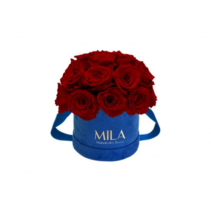 Mila Classique Small Dome Royal Blue Velvet Small - Rubis Rouge