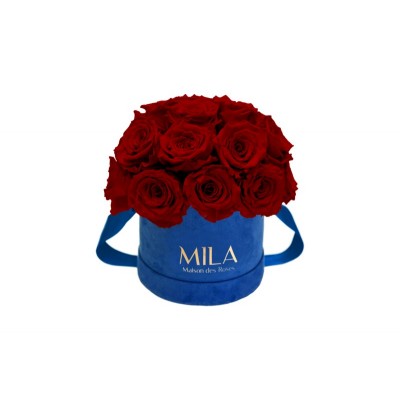 Produit Mila-Roses-01836 Mila Classique Small Dome Royal Blue Velvet Small - Rubis Rouge