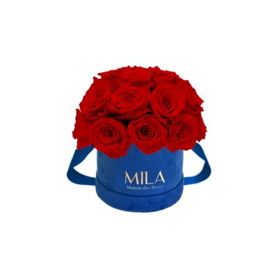 Produit Mila-Roses-01837 Mila Classique Small Dome Royal Blue Velvet Small - Rouge Amour