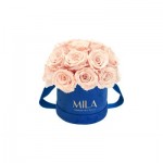  Mila-Roses-01838 Mila Classique Small Dome Royal Blue Velvet Small - Pure Peach