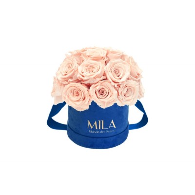 Produit Mila-Roses-01838 Mila Classique Small Dome Royal Blue Velvet Small - Pure Peach