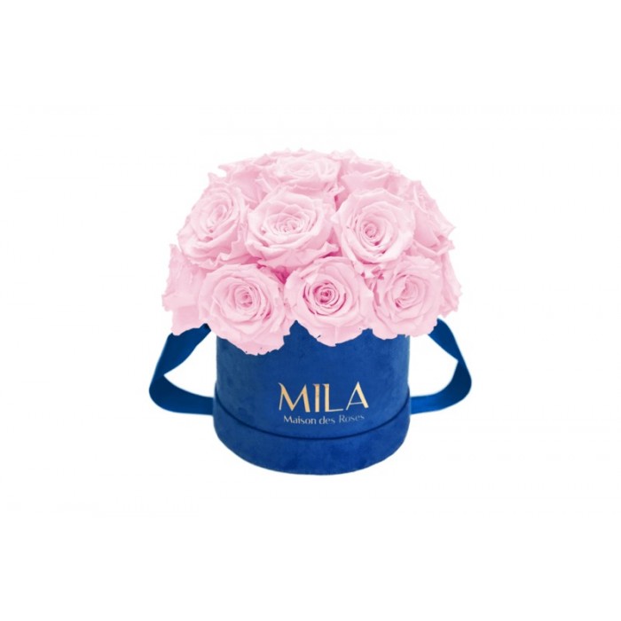 Mila Classique Small Dome Royal Blue Velvet Small - Pink Blush