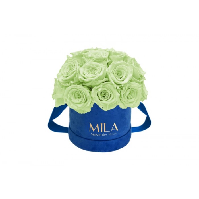 Mila Classique Small Dome Royal Blue Velvet Small - Mint
