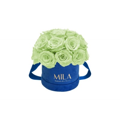 Produit Mila-Roses-01844 Mila Classique Small Dome Royal Blue Velvet Small - Mint