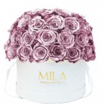  Mila-Roses-01862 Mila Classique Large Dome Blanc Classique - Metallic Rose Gold