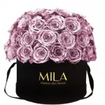  Mila-Roses-01863 Mila Classique Large Dome Noir Classique - Metallic Rose Gold