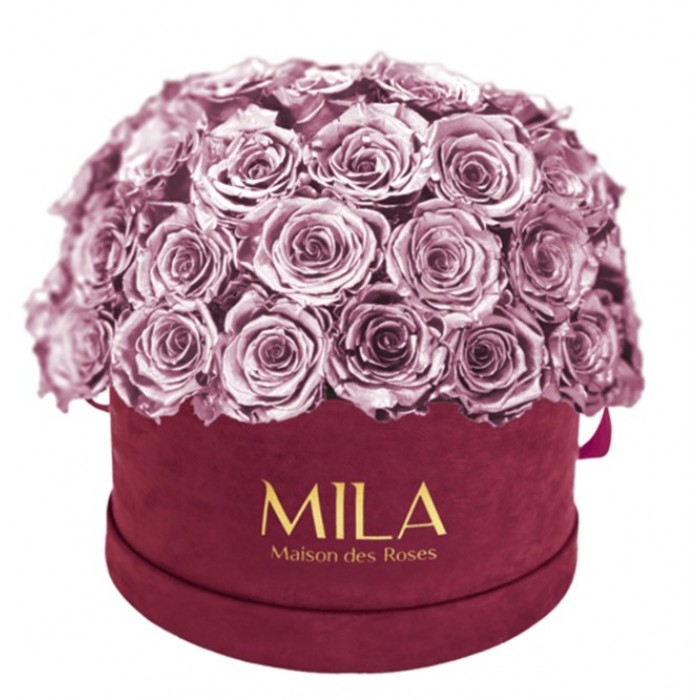 Mila Classique Large Dome Burgundy - Metallic Rose Gold