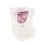  Mila-Roses-01882 Mila Acrylic Baby Bijou - Metallic Rose Gold