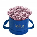  Mila-Roses-01887 Mila Velvet Small Royal Blue Velvet Small - Metallic Rose Gold