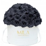  Mila-Roses-01929 Mila Classique Large Dome Blanc Classique - Grey