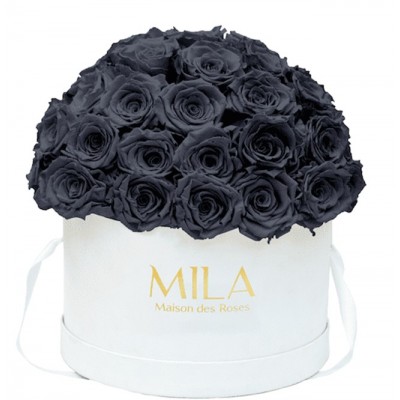 Produit Mila-Roses-01929 Mila Classique Large Dome Blanc Classique - Grey