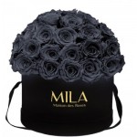  Mila-Roses-01930 Mila Classique Large Dome Noir Classique - Grey