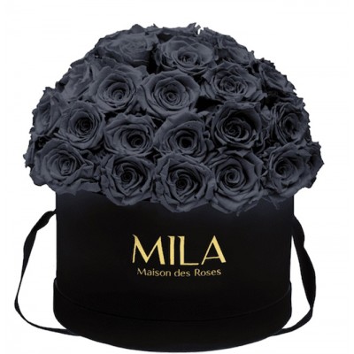 Produit Mila-Roses-01930 Mila Classique Large Dome Noir Classique - Grey